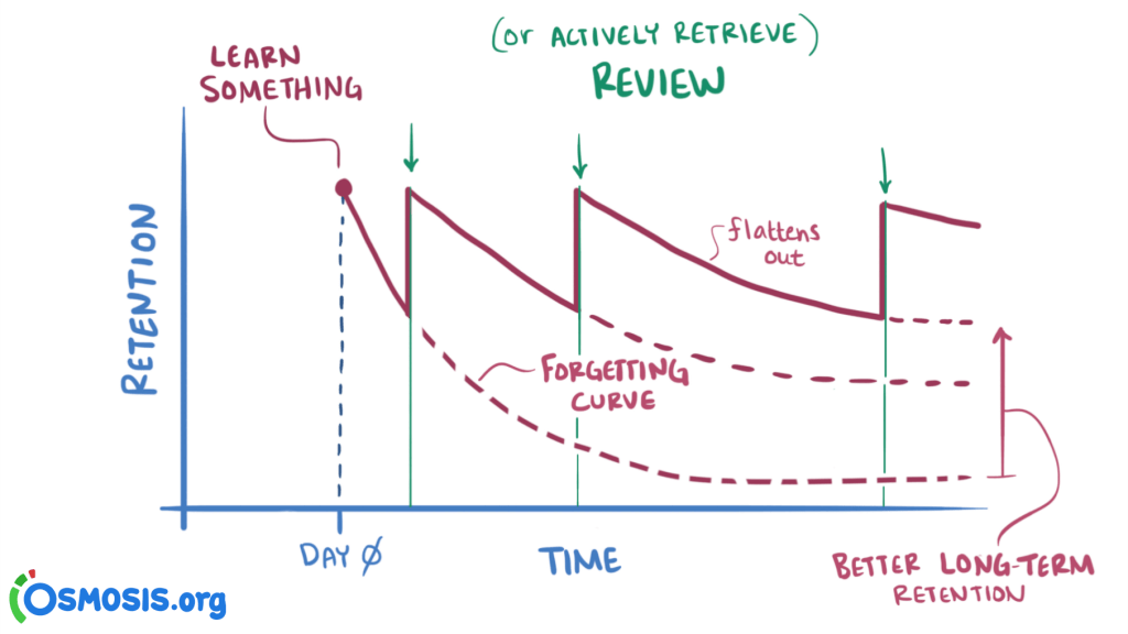 Forgetting curve